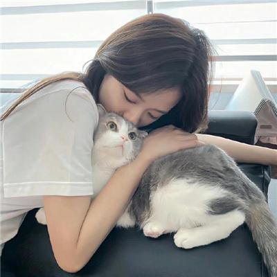 海关战线